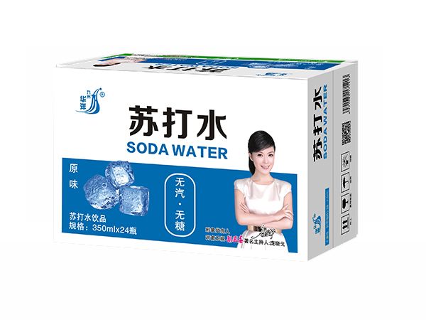九州華洋蘇打水原味蘇打水飲品招商350mlx24瓶
